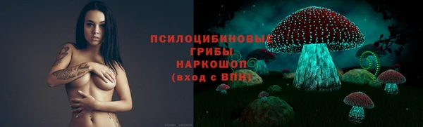 мяу мяу мука Алзамай