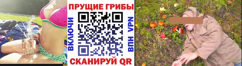 Псилоцибиновые грибы прущие грибы  Азнакаево 
