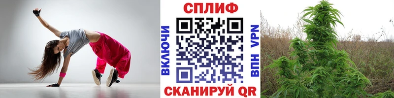 купить  цена  Азнакаево  Каннабис сатива 
